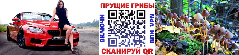 Псилоцибиновые грибы ЛСД omg вход Мышкин